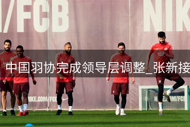 中国羽协完成领导层调整 张新接任主席职务